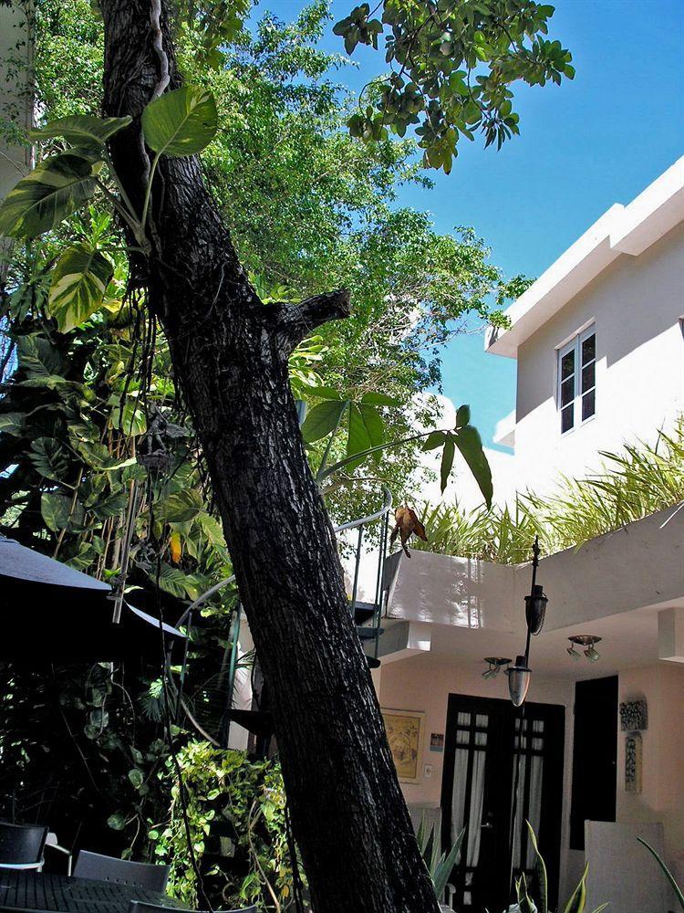 Oceana Hostal Playero San Juan Buitenkant foto